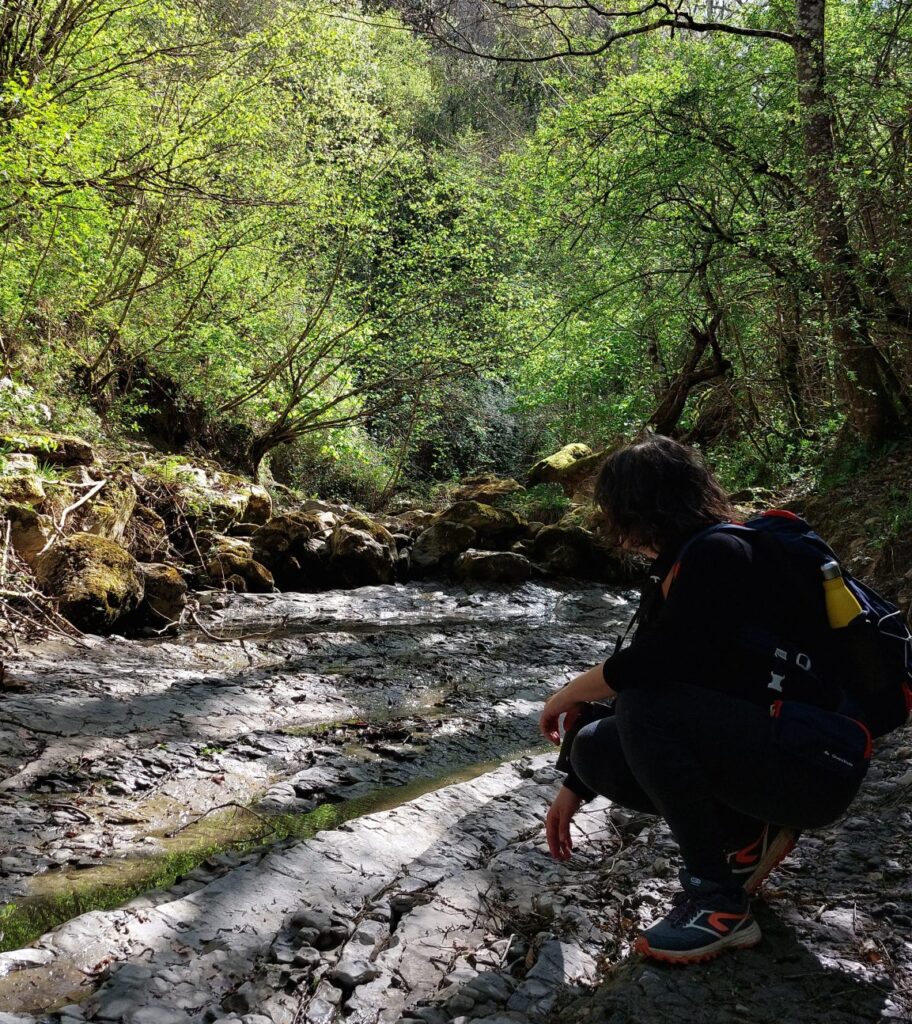 Cours d'eau à sec - Bugarach, Parc naturel régional Corbières-Fenouillèdes